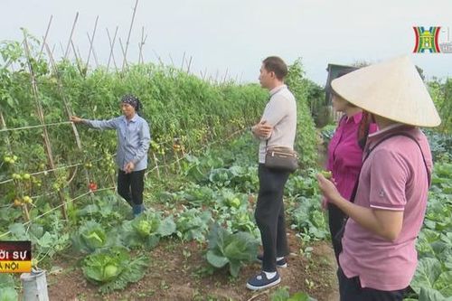 Trải nghiệm du lịch nông nghiệp phát triển
