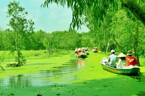 Điểm nhấn đồng bằng sông Cửu Long trong Top các điểm đến tháng 1/2024