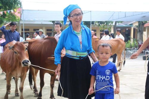 Hỗ trợ bò giống, giúp đồng bào dân tộc vươn lên thoát nghèo