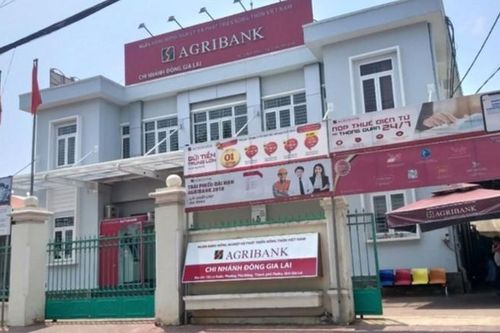 Cựu cán bộ ngân hàng chi nhánh Đông Gia Lai bị bắt vì lừa đảo