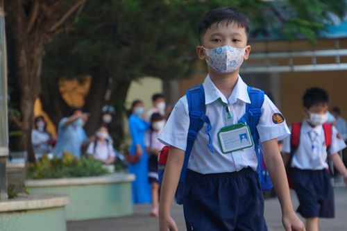 Dạy thêm - học thêm: Biến tướng từ đâu?