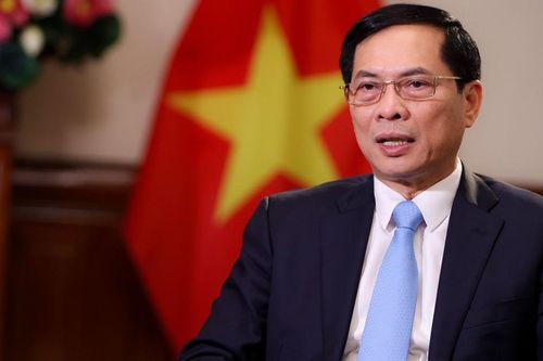 Khẳng định bản sắc 'Ngoại giao cây tre'