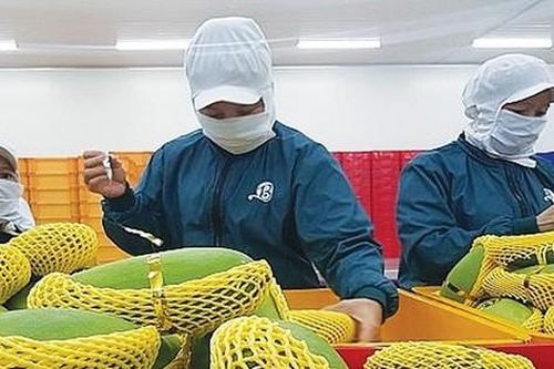 Nhiều nông sản kỳ vọng gia nhập 'câu lạc bộ' tỷ USD
