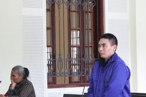 Đào hố, cất giấu ma túy ở lán chăn nuôi của gia đình