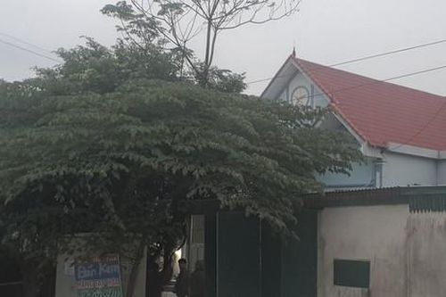 Bắt nghi phạm sát hại nữ chủ tiệm tạp hóa