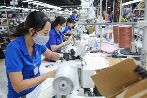 Doanh nghiệp gặp khó khăn khi 'bơi xa'