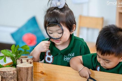 Trường mầm non Small Wonder - nơi bé yêu phát triển toàn diện