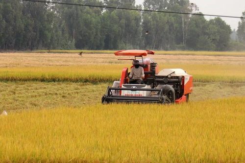 Kiên Giang: Nhiều biện pháp thúc đẩy tăng trưởng xuất khẩu 7% trong năm 2024