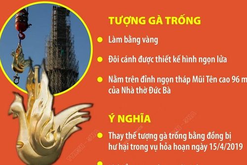 Đỉnh tháp chuông Nhà thờ Đức Bà Paris có tượng gà trống mới