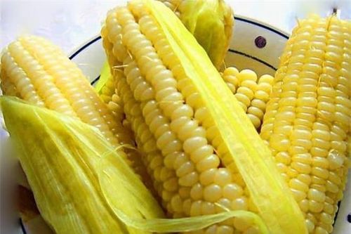 Có 2 điều cấm kỵ khi ăn ngô luộc, nhất là điều kiêng kỵ đầu tiên, nhiều người thường mắc phải