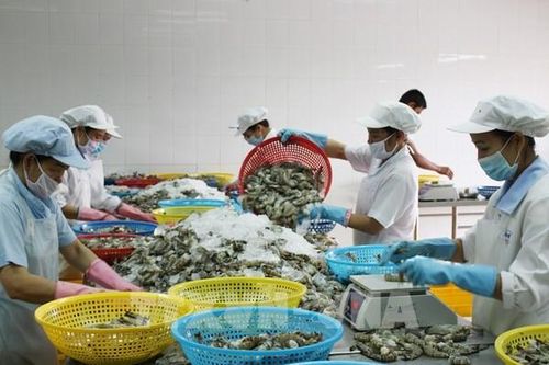 Bạc Liêu lần đầu cán mốc xuất khẩu 1 tỷ USD