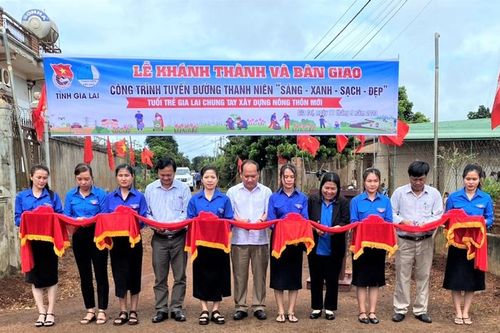 Phát huy sức trẻ trong xây dựng nông thôn mới