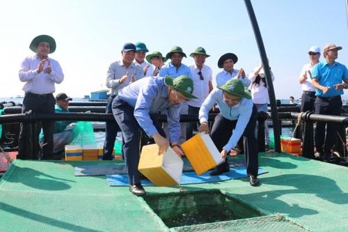 Tràn lan nuôi trồng thủy sản ngoài vùng quy hoạch - Kỳ cuối: Hướng đến phát triển nuôi trồng bền vững