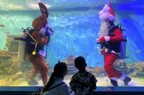 Đặc sắc màn trình diễn dưới nước của ông già Noel
