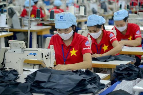 Doanh nghiệp xuất khẩu cần sớm thích ứng Thỏa thuận xanh EU