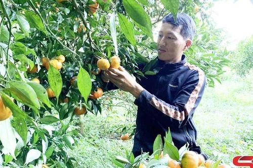 Thanh niên vùng cao lập nghiệp