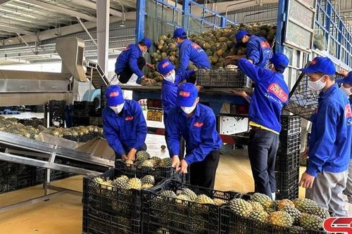 Doanh nghiệp Sơn La đổi mới và phát triển