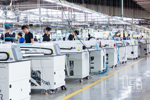 TNG: Nỗ lực hoàn thành sớm kế hoạch năm