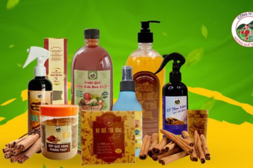 Công ty TNHH Hương Quế Trà Bồng: Nâng giá trị cây quế từ đa dạng sản phẩm