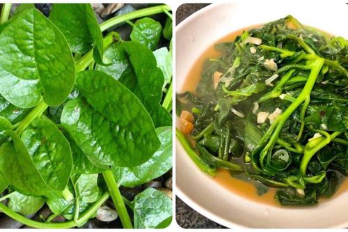 Rau mồng tơi có tác dụng gì?
