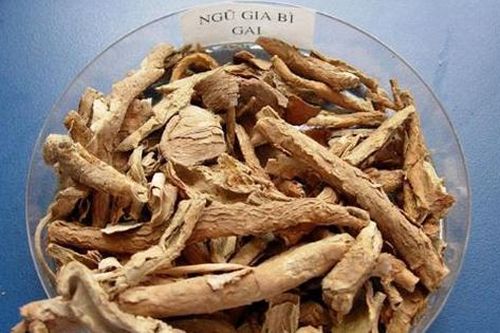 12 bài thuốc có ngũ gia bì chữa đau nhức xương khớp