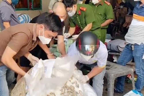 Giá đắt cho những kẻ lợi dụng luồng xanh để vận chuyển ma túy