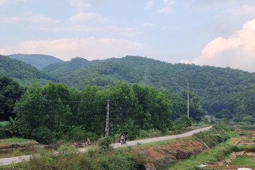 Thái Nguyên: Trồng rừng vượt xa kế hoạch, có huyện đạt trên 200%