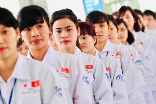 Nhiều người Việt Nam chọn sang Nhật Bản làm việc vì thu nhập cao
