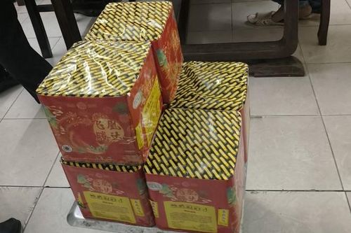Hà Nội: Bắt giữ nam thanh niên mang bao tải pháo nổ đi tiêu thụ