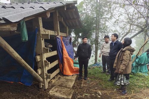 Bắc Kạn chủ động bảo vệ gia súc trước giá rét