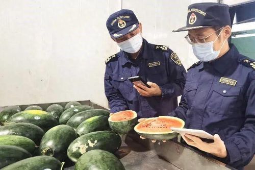 Trung Quốc thông báo nhập khẩu chính ngạch dưa hấu Việt Nam