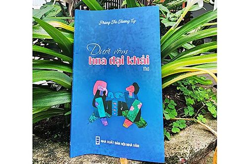 Hoa đỏ cháy bốn mùa