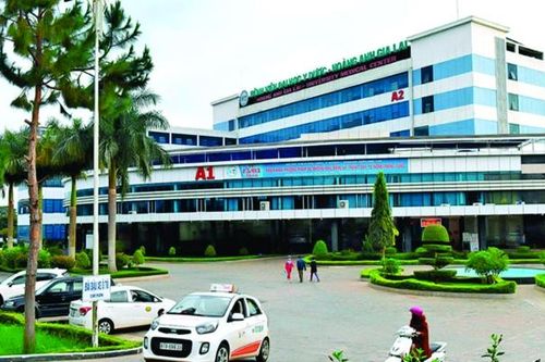 Sau quyết định bán bệnh viện để trả nợ, cổ phiếu HAG giảm kịch sàn, không có người mua