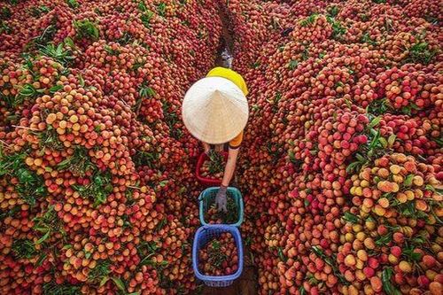 Món ngon từ nông sản khơi nguồn cảm hứng sáng tạo