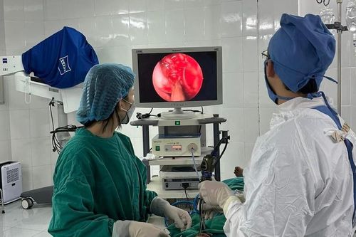 Ổ giòi hơn 100 con sống trong hốc mũi bệnh nhân