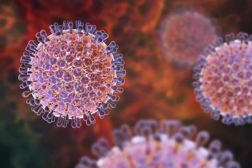 Sẽ đưa vaccine phòng rotavirus vào chương trình tiêm chủng mở rộng