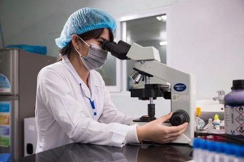 Chỉ hơn 2% tạp chí khoa học của Việt Nam lọt vào danh mục Scopus, WoS