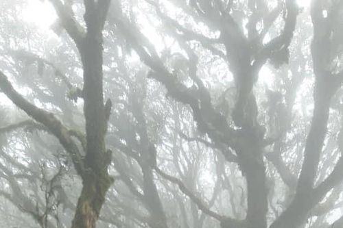 Bảo tồn đa dạng sinh học tại 'Nóc nhà Đông Bắc'