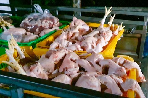 Phát hiện gần nửa tấn thịt gia súc, gia cầm không đảm bảo vệ sinh