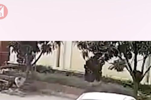 Đạp nhầm chân ga, nữ tài xế gây tai nạn liên hoàn ở thành phố Vinh