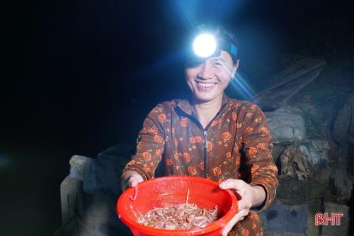 Xem nông dân Hà Tĩnh đội đèn săn 'rồng đất'