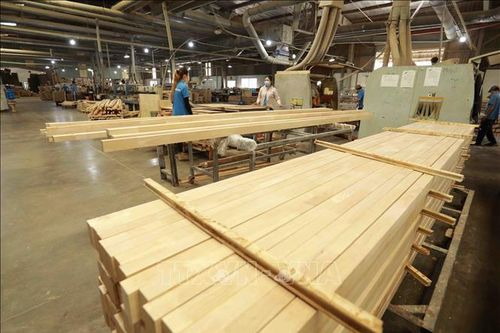 Ngành gỗ Việt Nam xanh hóa để tăng cạnh tranh
