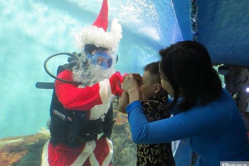 Du khách thích thú xem ông già Noel biểu diễn dưới nước