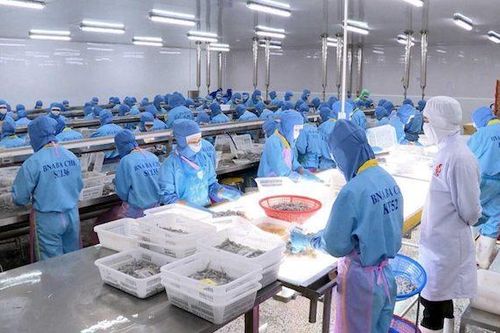 VASEP kiến nghị nhiều giải pháp gỡ khó đối với doanh nghiệp thủy sản