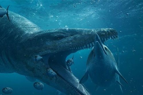 'Sát thủ tối thượng kỷ Jura' dài 12 m hiện hình bên bờ biển