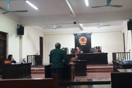 Phúc thẩm vụ án chặt cây lĩnh 30 tháng tù ở Vĩnh Phúc