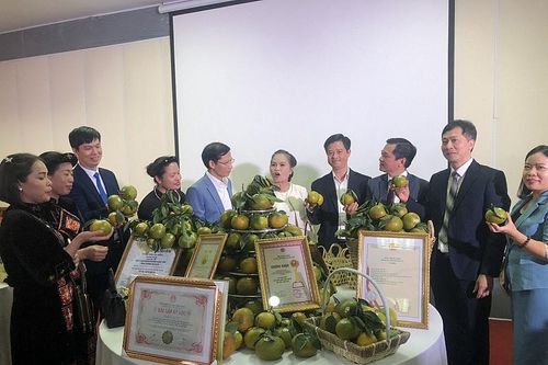 Tăng cường quảng bá, kết nối nông sản đến người tiêu dùng thông qua nền tảng mạng xã hội