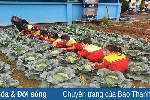 'Xanh hóa' trường học