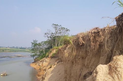 Thanh Hóa tìm giải pháp ngăn sạt lở nghiêm trọng tại sông Chu, sông Mã