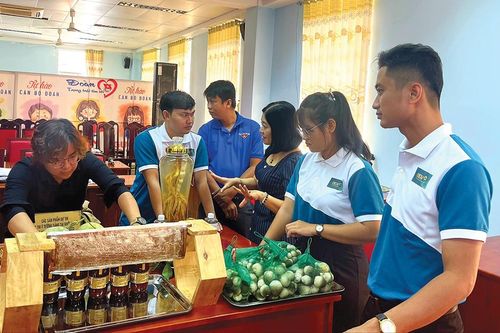 Khởi nghiệp đổi mới sáng tạo